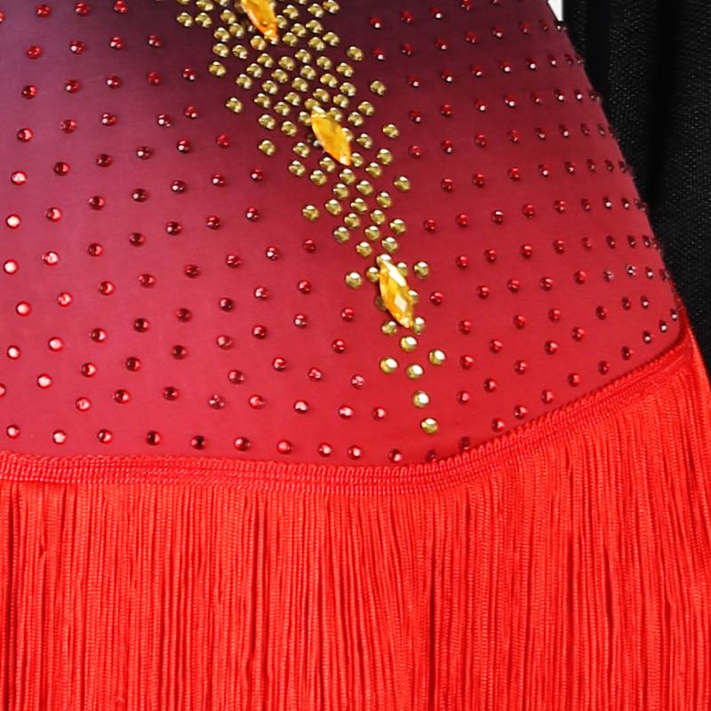 Customisable-Women's Black Long Sleeve Tassel DanceWear Dance Dress Performance Wear - Image 5