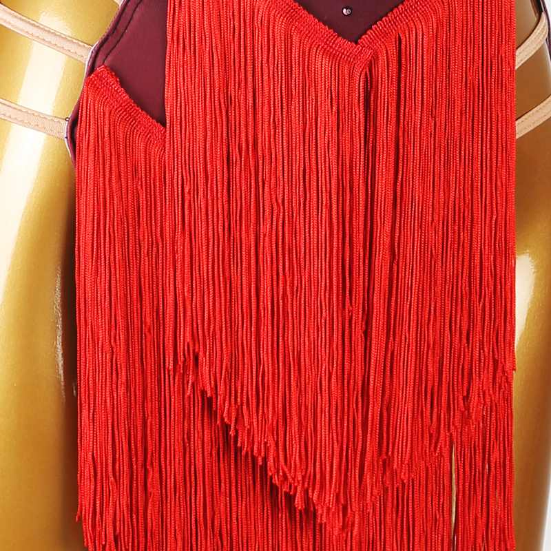 Customisable-Women's Black Tassel DanceWear Dance Dress Performance Wear - Image 5