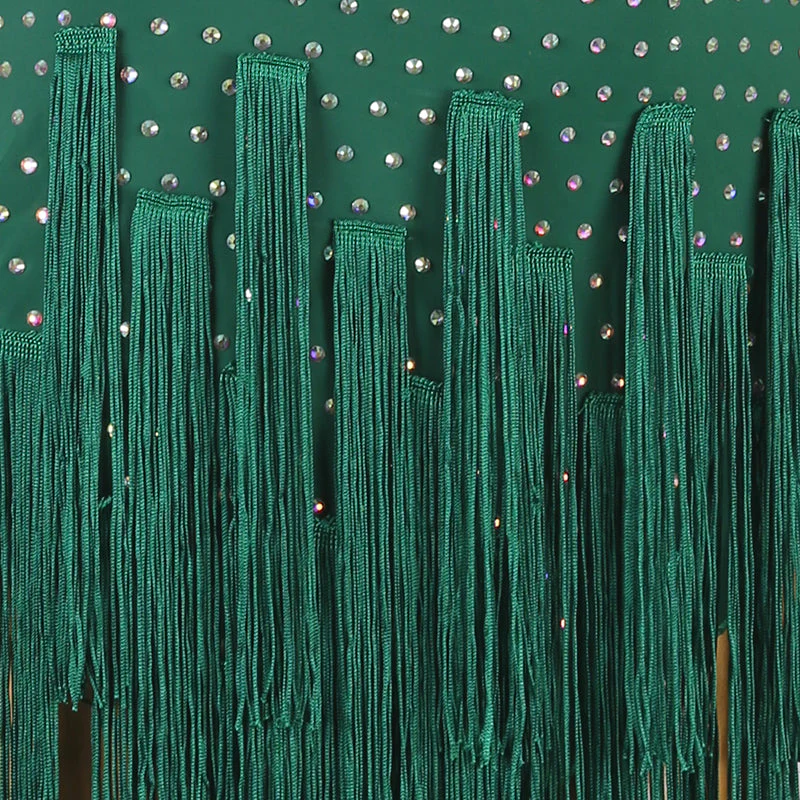 Customisable-Women's Tassel DanceWear Dance Dress Performance Wear - Image 15