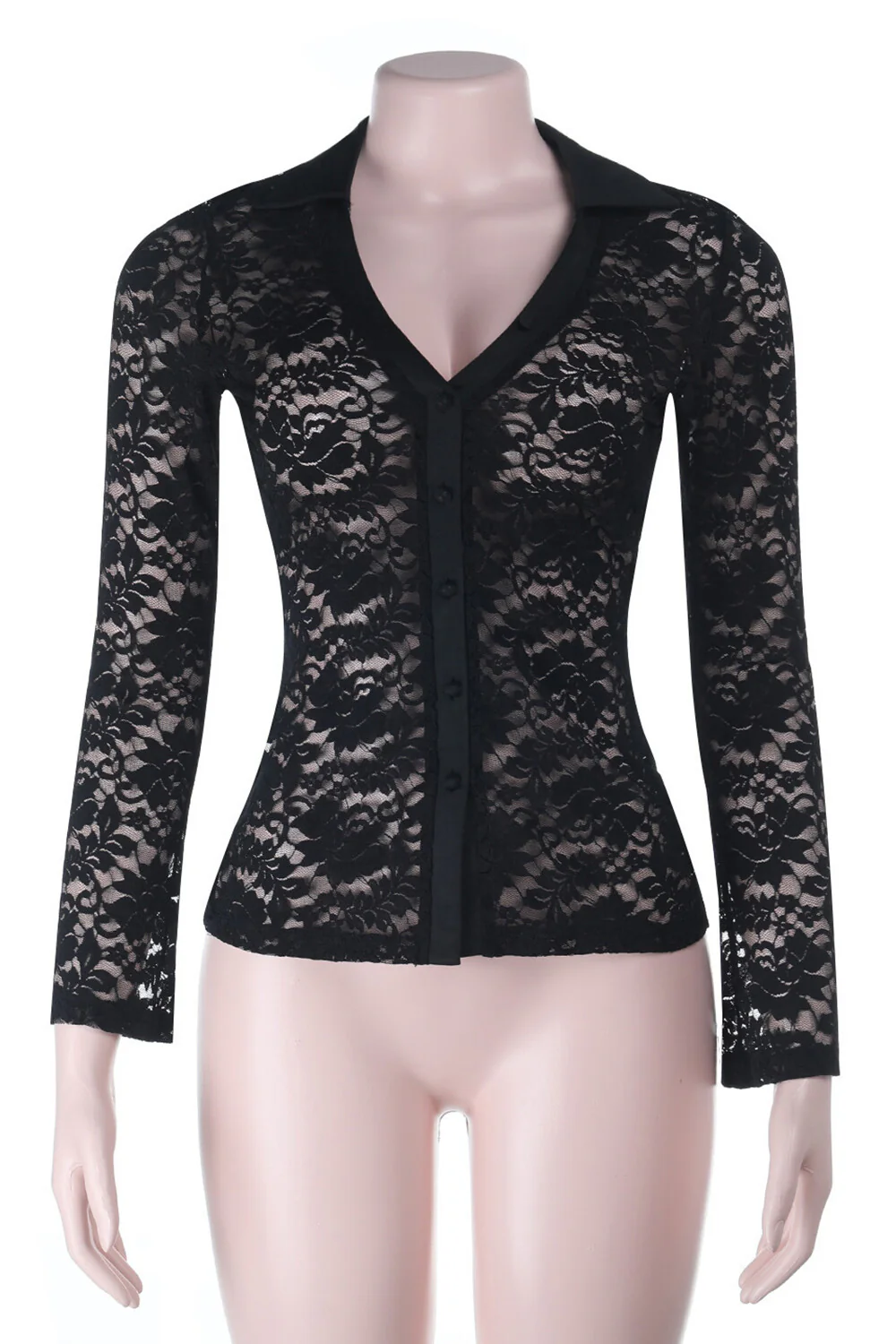 V Neckline Long Sleeve Jacquard Lace See Through Top-Black - Image 4